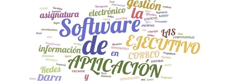 Software de Aplicación Ejecutivo 