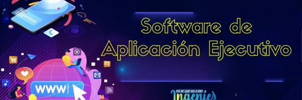 Software de Aplicación Ejecutivo