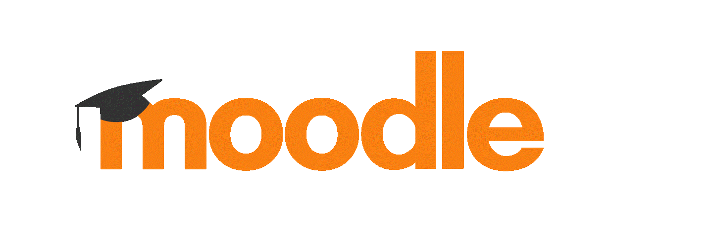 MODELADO DEL CURSO