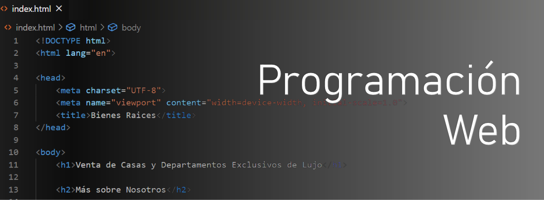 PROGRAMACIÓN WEB